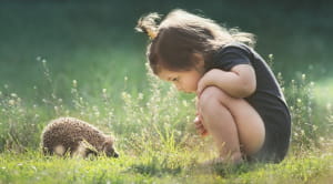 Wildlife activities for kids young girl looking at hedgehog